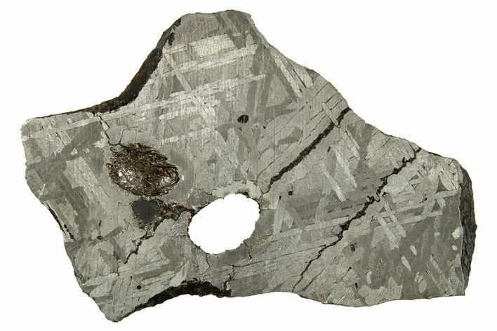 Etched Iron Meteorite Slice ( g) - Unclassified #309811